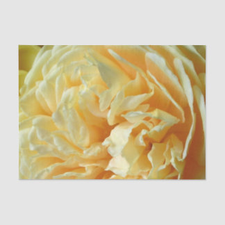 Ivory Rose Tissue Paper