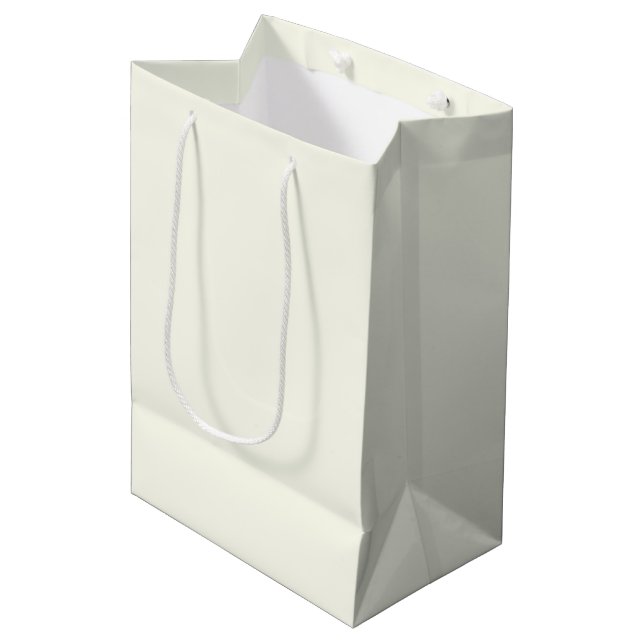 Ivory Solid Colour Medium Gift Bag (Front Angled)