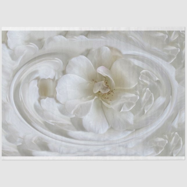 Ivory white tissue paper (Front)