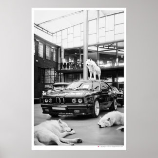 Ivory Wolf Coal | Wolfs and a car Poster
