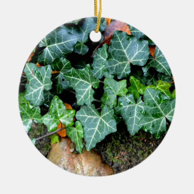 Ivy and field stone ceramic ornament (Front)
