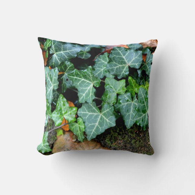 Ivy and field stone cushion (Front)