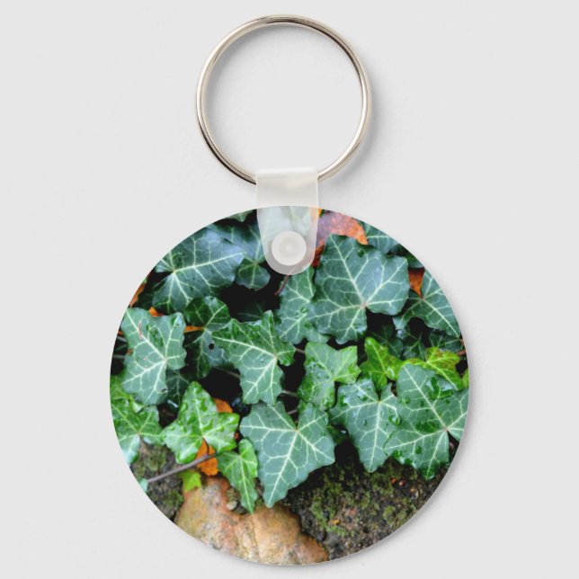 Ivy and field stone key ring (Front)