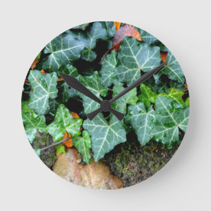 Ivy and field stone round clock