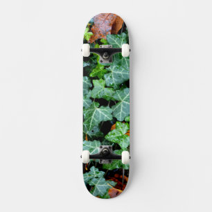 Ivy and field stone skateboard