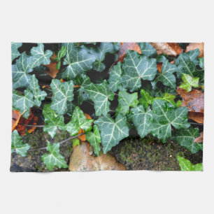Ivy and field stone tea towel