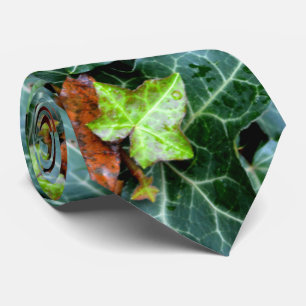 Ivy and field stone tie