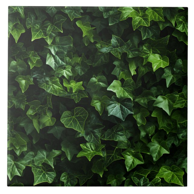 Ivy Background, Green Leaves, Naturalistic Realism Ceramic Tile (Front)