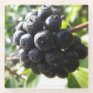 Ivy Berries Glass Coaster