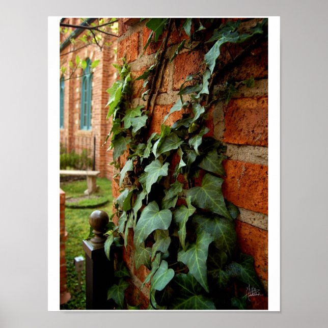 Ivy & Brick [Print] Poster (Front)