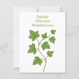 Ivy — Fidelity, affection, wedded love Postcard
