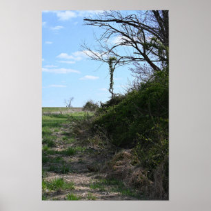 Ivy Hanging for Branches Poster