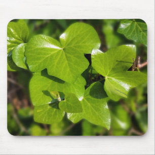 ivy in the sun mouse pad