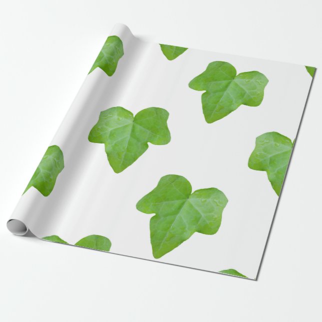 Ivy Leaf Pattern Wrapping Paper (Unrolled)