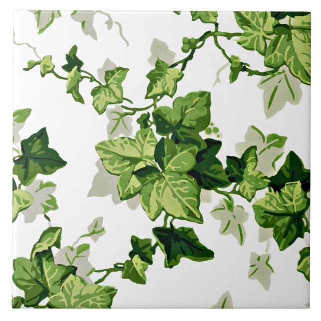 Ivy Leaves Ceramic Tile (Front)