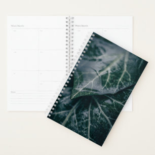 Ivy Leaves Nature Photo Planner