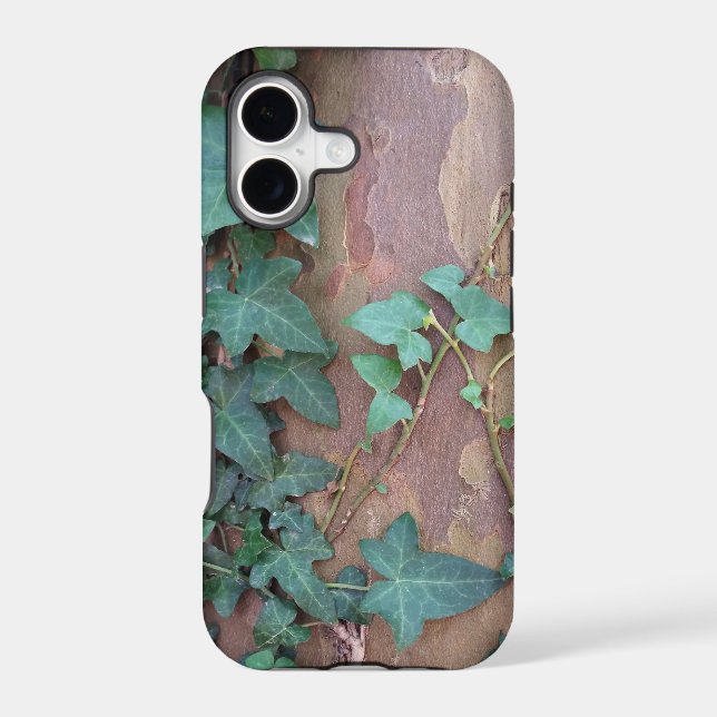 ivy on tree (Back)