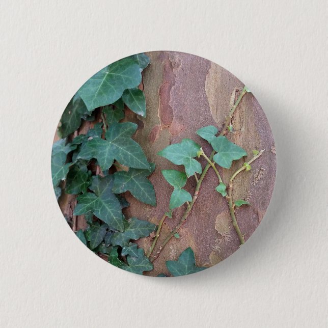 ivy on tree 6 cm round badge (Front)