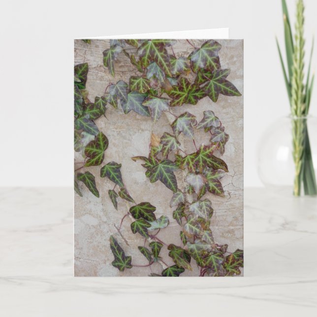 Ivy on Tree Trunk Holiday Card (Front)