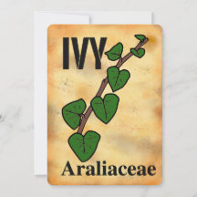 Ivy plant family line art Flat card