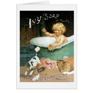 Ivy Soap