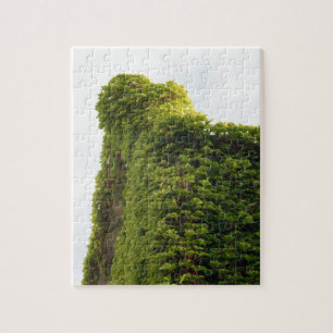 Ivy to the Sky Jigsaw Puzzle