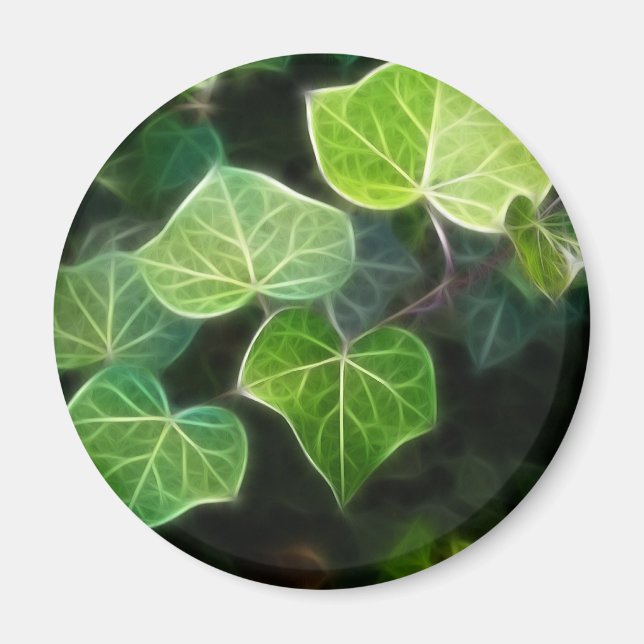 Ivy Vine 4 Magnet (Front)