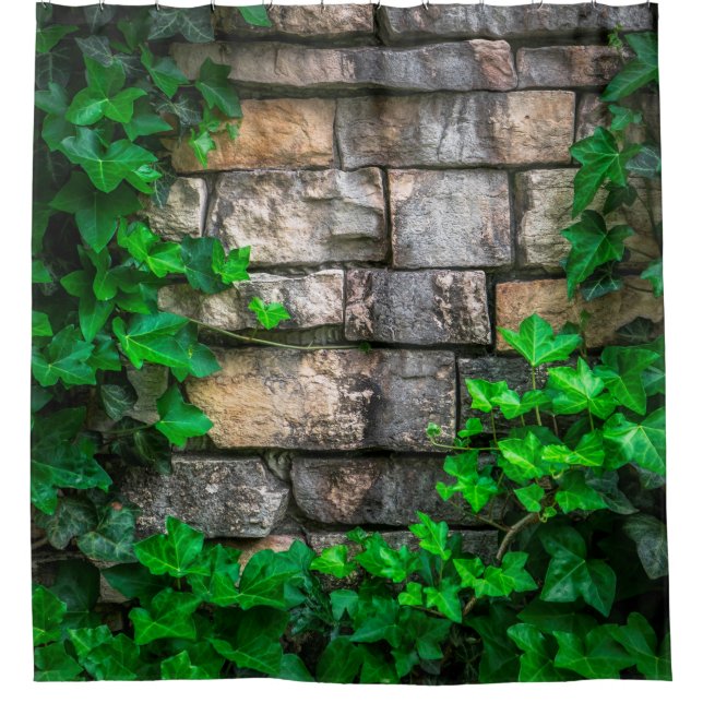 Ivy vine leaf plant broadleaf shower curtain (Front)