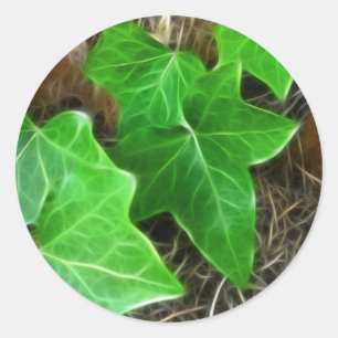 Ivy Vine on Palm Tree 5 Classic Round Sticker