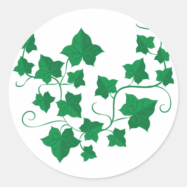 Ivy Vines Classic Round Sticker (Front)