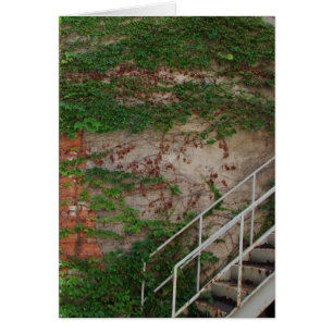Ivy Vines, Stairs, Brick Wall, Washington, Iowa