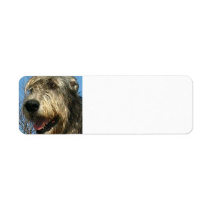 iw.png return address label