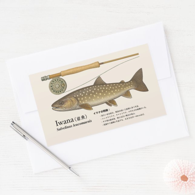 Iwana (Salvelinus leucomaenis) – Japanese Illust Rectangular Sticker (Envelope)