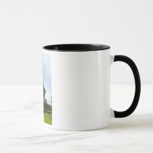 Iwo Jima Mug