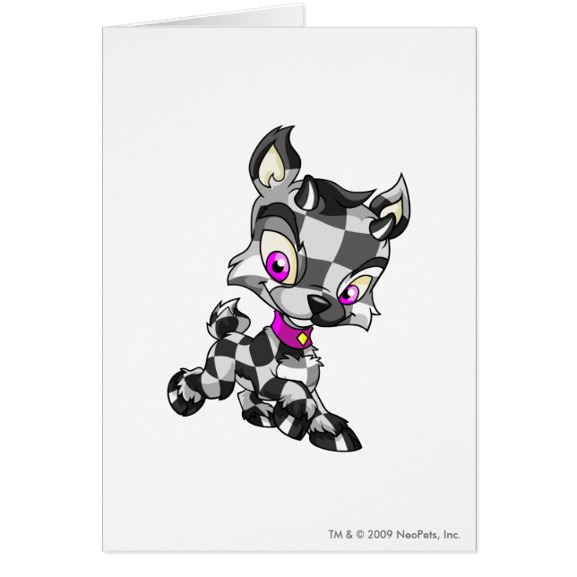 Ixi Chequered (Front)