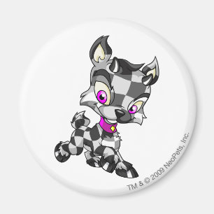 Ixi Chequered Magnet