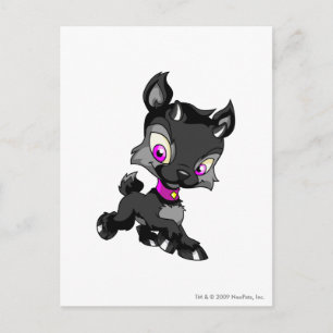Ixi Shadow Postcard