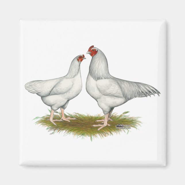 Ixworth Chickens Magnet (Front)