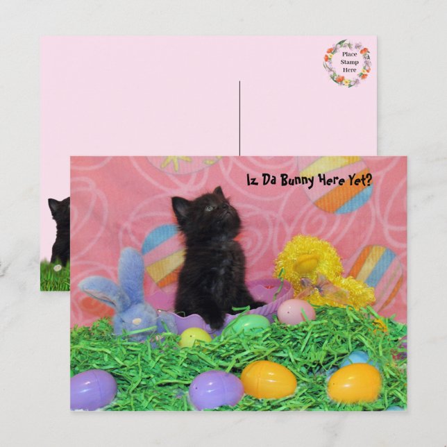 Iz Da Easter Bunny Here Yet? Easter Postcard (Front/Back)