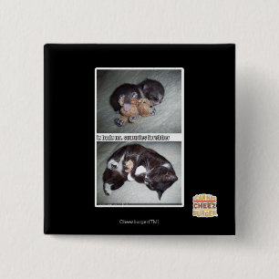 iz hadz mr. snuggies forebber 15 cm square badge