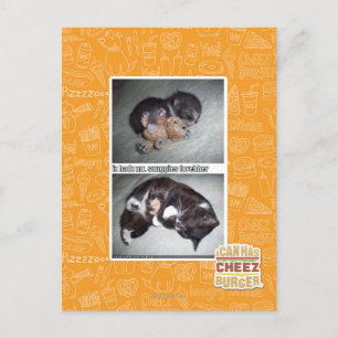 iz hadz mr. snuggies forebber postcard