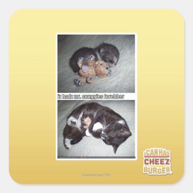 iz hadz mr. snuggies forebber square sticker (Front)