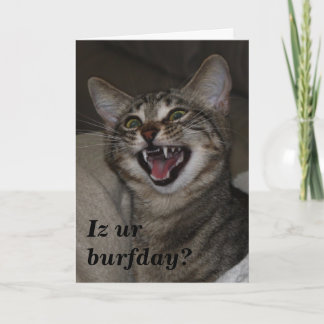 Iz ur burfday? humourous photo birthday card