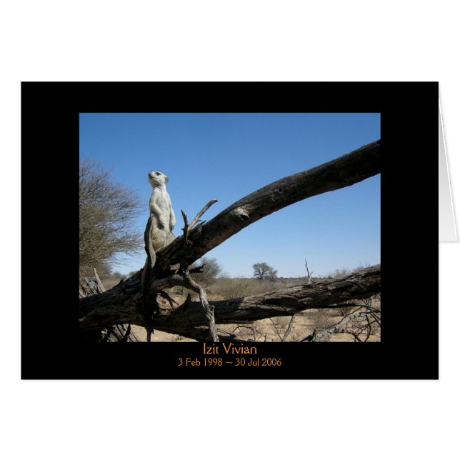 Izit - Legends Card (Front Horizontal)