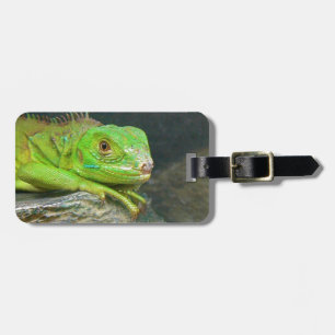 Izzy Iguanna Luggage Tag