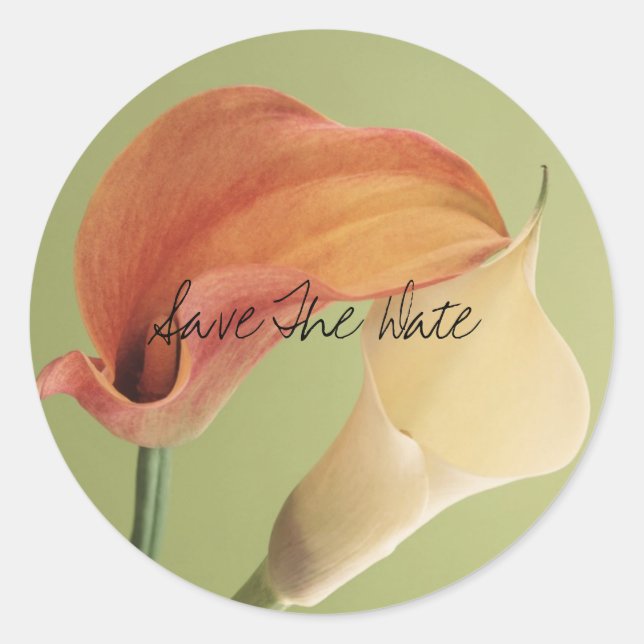 j0427843, Save The Date Classic Round Sticker (Front)