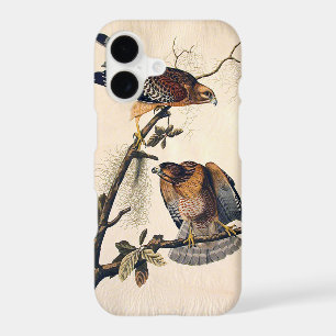 J.. Audubon (Red Shouldered Hawk) (1829)