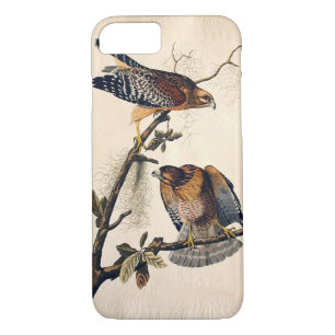 J.. Audubon (Red Shouldered Hawk) (1829) iPhone 8/7 Case