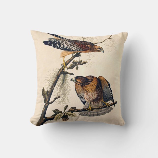 J.J. Audubon (Red Shouldered Hawk) (1829) Cushion (Front)