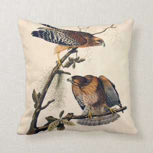 J.J. Audubon (Red Shouldered Hawk) (1829) Cushion